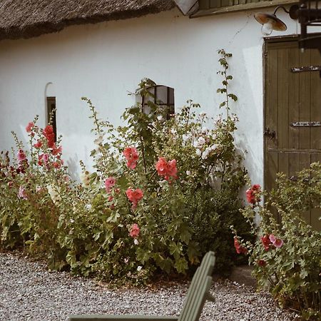Bed and Breakfast Axatorpsgarden Trelleborg Exterior foto