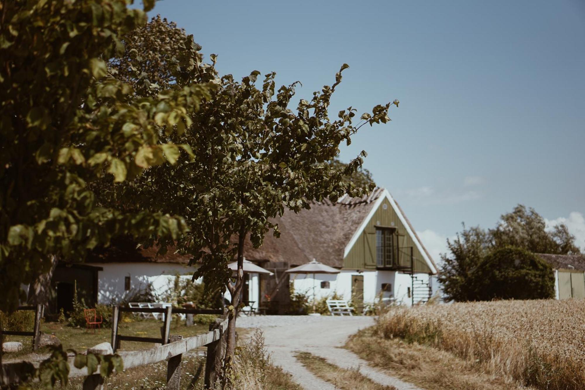 Bed and Breakfast Axatorpsgarden Trelleborg Exterior foto